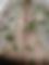 Ieva888, 37, Taurage