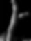 _Thursday, 47 & 42 _Thursday, 47 & 42, Vilnius