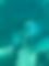 memb377195, 51